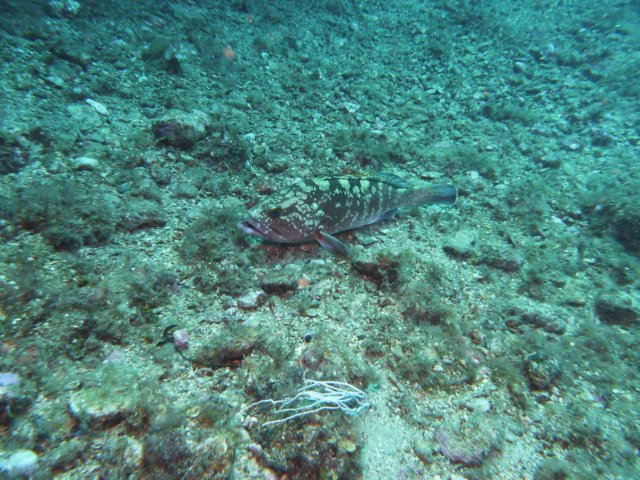 p1040727.jpg