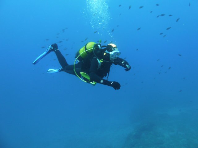 p1040743.jpg