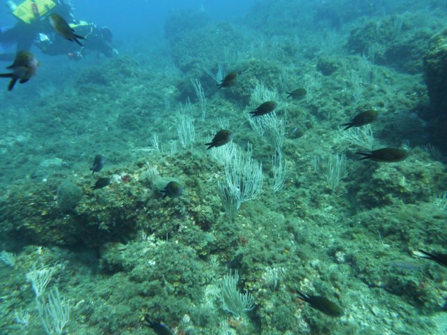p1040744.jpg