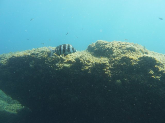 p1040755.jpg