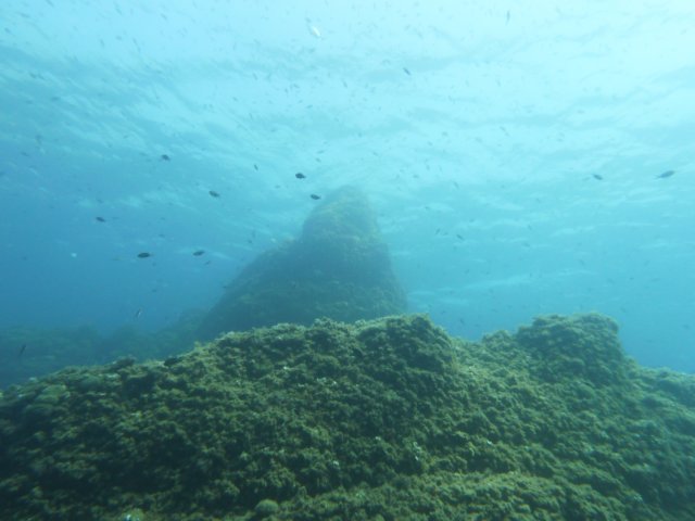 p1040763.jpg