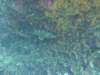 p1040771_small.jpg
