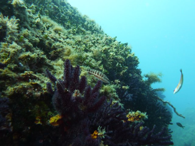 p1040822.jpg