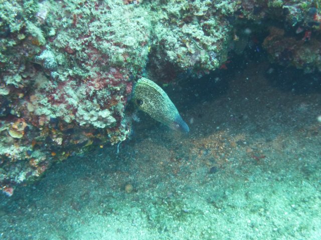 p1040870.jpg
