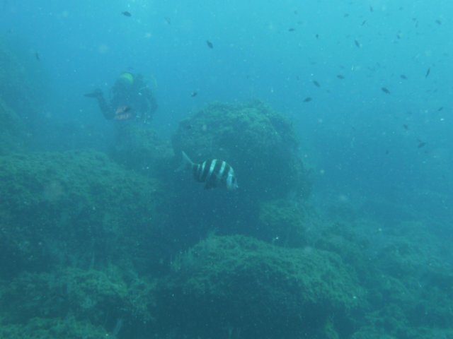 p1040878.jpg