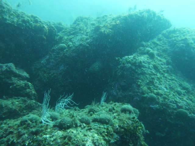 p1040893.jpg