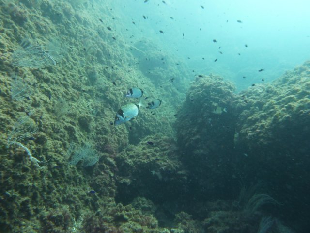 p1040917.jpg