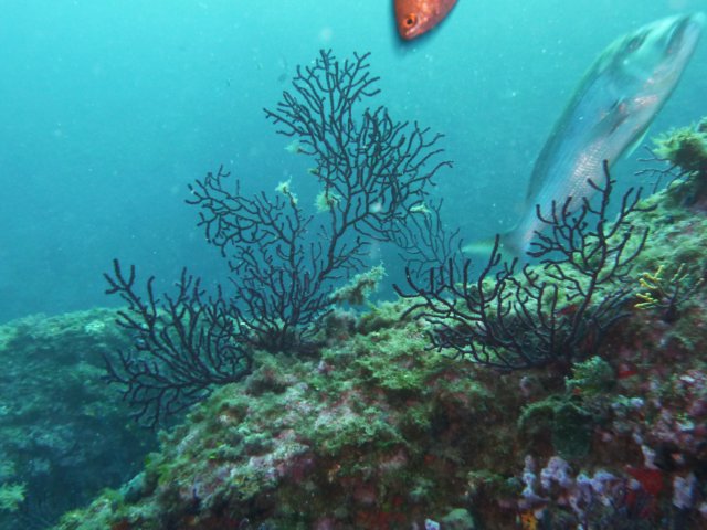 p1040955.jpg