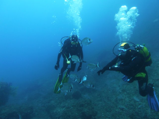 p1050031.jpg