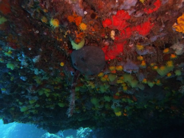 p1050047.jpg