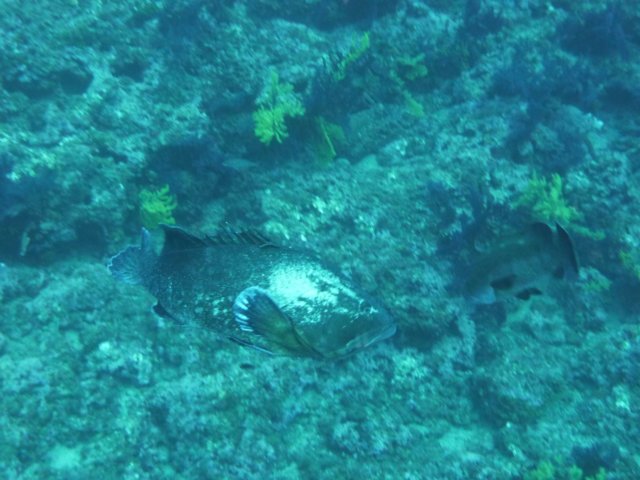 p1050064.jpg