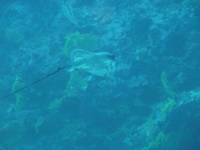 p1050071.jpg