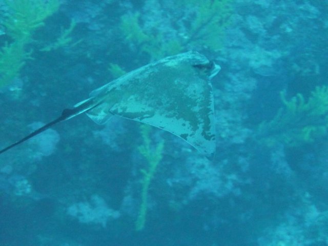 p1050074.jpg