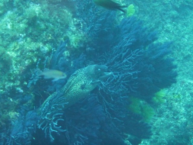 p1050081.jpg