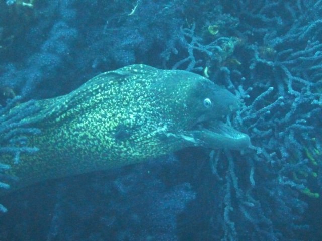 p1050082.jpg