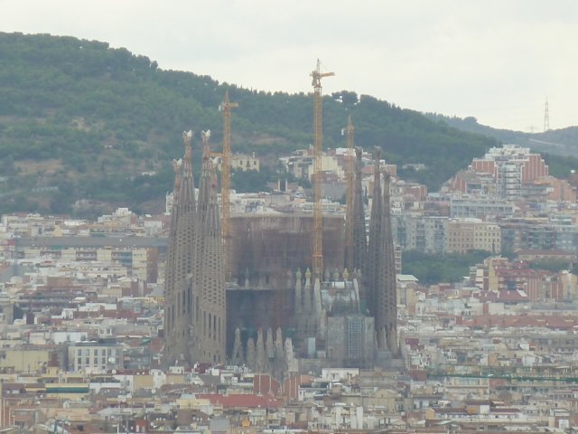 p1050200.jpg