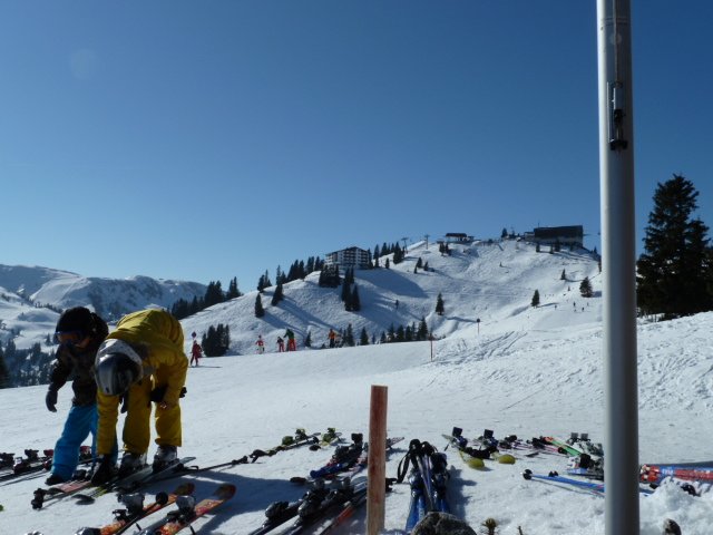 p1010928.jpg